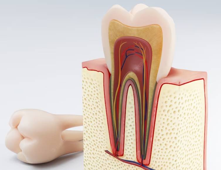 How Painful Are Root Canals