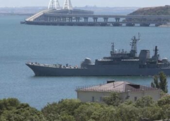 Russian warship fires warning shots at civilian cargo ship in Black Sea
