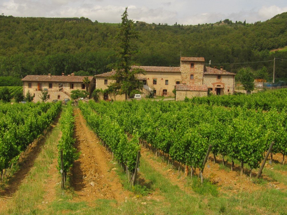 The Changing Landscape of Italian Agriculture