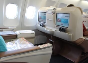 Turkish Airlines Business Class: A Culinary Journey Across 22 Hours