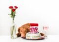 CopRice Acquires SavourLife: A Strategic Expansion in the Pet Food Market