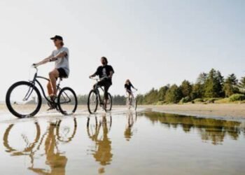 Tofino’s New Bicycle Route: A Journey Through Nature’s Splendor