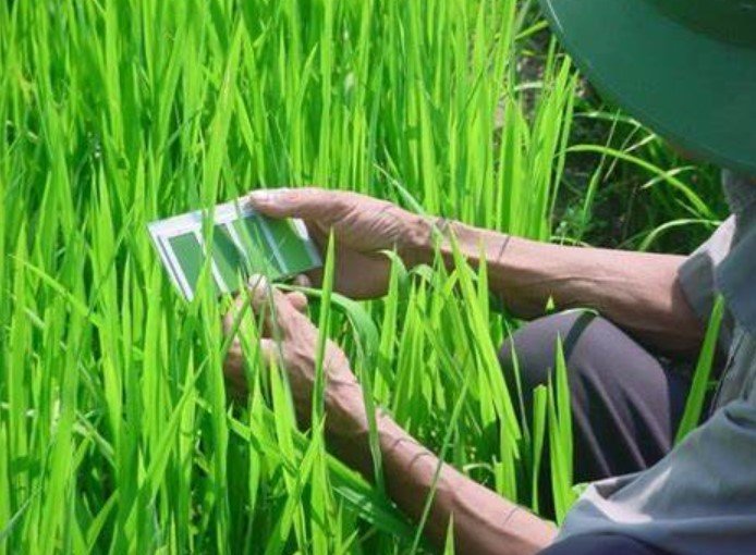 Smarter, Cheaper Nutrient Sensors: The Future of Fertilizer Technology