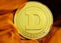 Dogecoin Price Could Soar 1300% to $1.6, Crypto Analyst Predicts