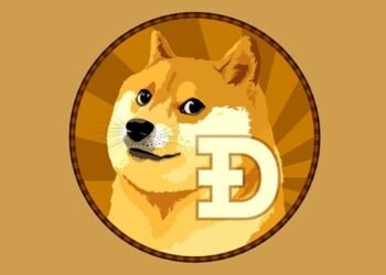 Dogecoin logo on a website screen