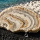 Galápagos coral El Niño 36 percent stronger climate record
