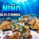 Galápagos corals El Niño 36.5 percent stronger