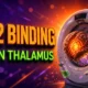 Danish PET study extra thalamic D2 binding autism