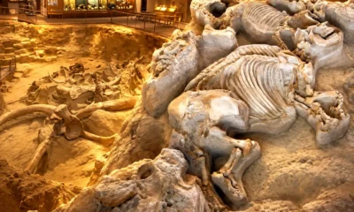 South Dakota Mammoth Site feldspar dates 160000 years